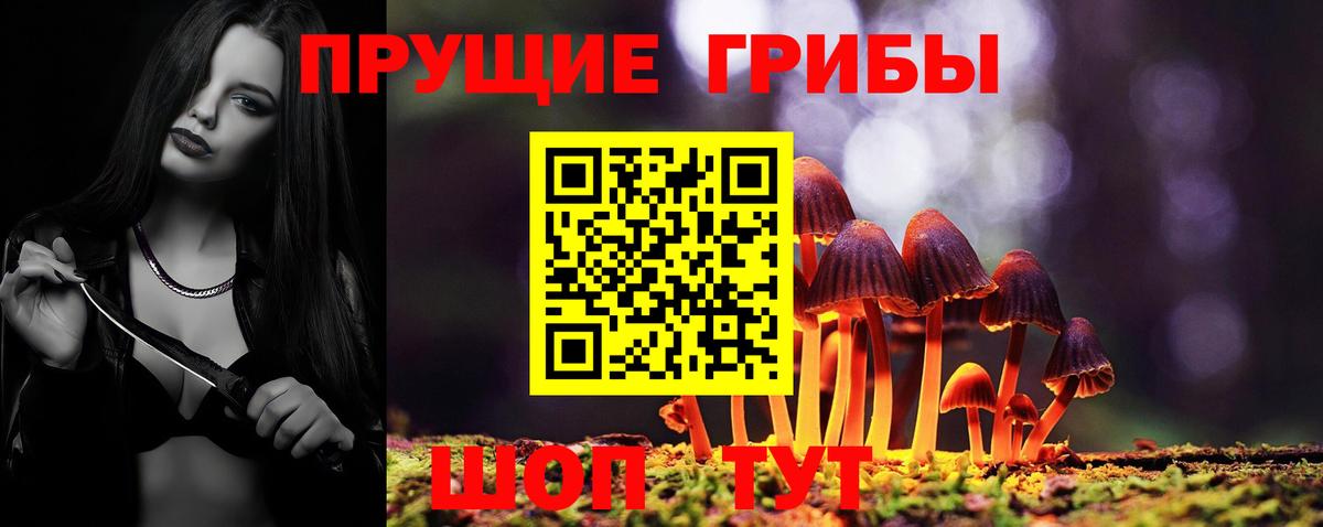 Комсомольск-на-Амуре  Псилоцибиновые грибы Magic Shrooms  Вход с VPN 
